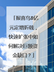 报喜鸟8亿元定增折戟，快速扩张中如何解决巨额资金缺口？