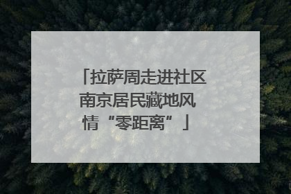 拉萨周走进社区 南京居民藏地风情“零距离”