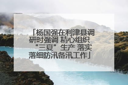 杨国强在利津县调研时强调 精心组织“三夏”生产 落实落细防汛备汛工作