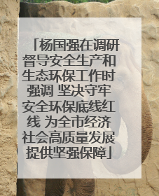 杨国强在调研督导安全生产和生态环保工作时强调 坚决守牢安全环保底线红线 为全市经济社会高质量发展提供坚强保障