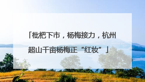 枇杷下市，杨梅接力，杭州超山千亩杨梅正“红妆”