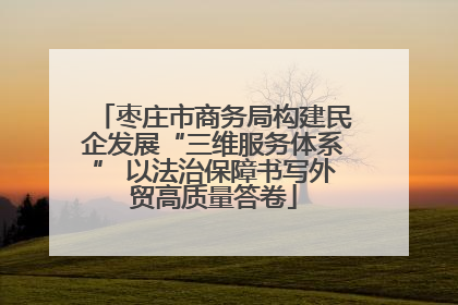 枣庄市商务局构建民企发展“三维服务体系” 以法治保障书写外贸高质量答卷