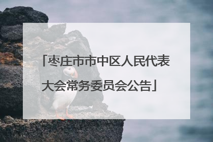 枣庄市市中区人民代表大会常务委员会公告