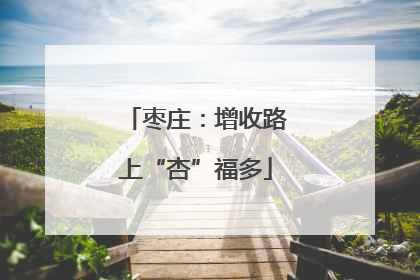 枣庄：增收路上“杏”福多