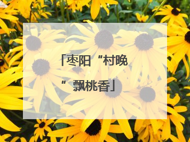 枣阳“村晚”飘桃香