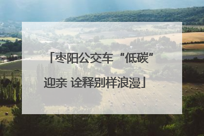 枣阳公交车“低碳”迎亲 诠释别样浪漫