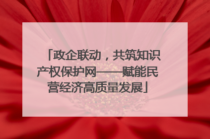 政企联动，共筑知识产权保护网——赋能民营经济高质量发展