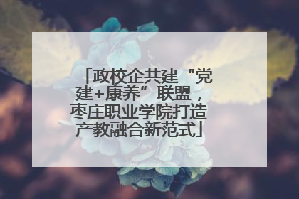 政校企共建“党建+康养”联盟，枣庄职业学院打造产教融合新范式