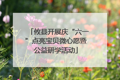 攸县开展庆“六一”点亮宝贝微心愿暨公益研学活动
