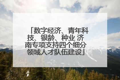 数字经济、青年科技、银龄、种业 济南专项支持四个细分领域人才队伍建设