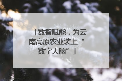 数智赋能，为云南高原农业装上“数字大脑”