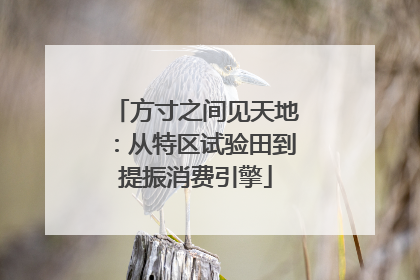方寸之间见天地：从特区试验田到提振消费引擎