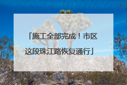施工全部完成！市区这段珠江路恢复通行