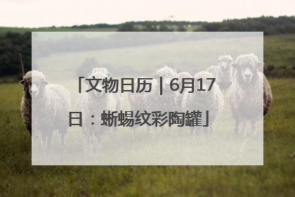 文物日历｜6月17日：蜥蜴纹彩陶罐