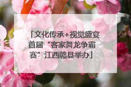 文化传承+视觉盛宴 首届“客家舞龙争霸赛”江西赣县举办