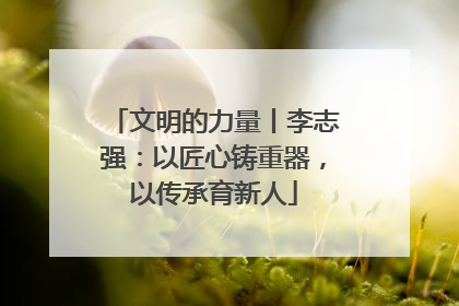 文明的力量丨李志强：以匠心铸重器，以传承育新人