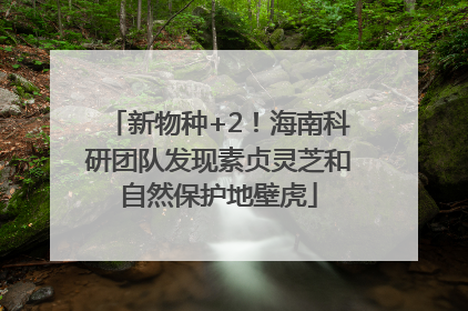 新物种+2！海南科研团队发现素贞灵芝和自然保护地壁虎