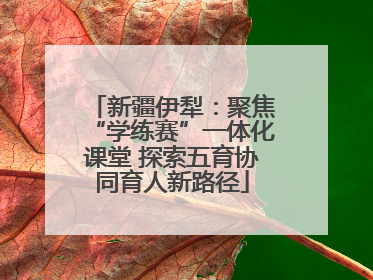 新疆伊犁：聚焦“学练赛”一体化课堂 探索五育协同育人新路径