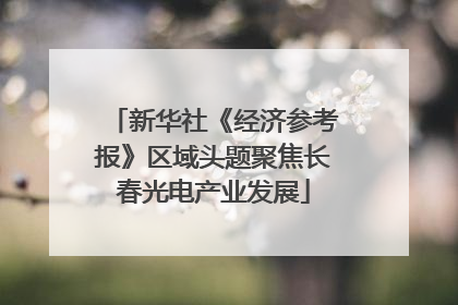 新华社《经济参考报》区域头题聚焦长春光电产业发展
