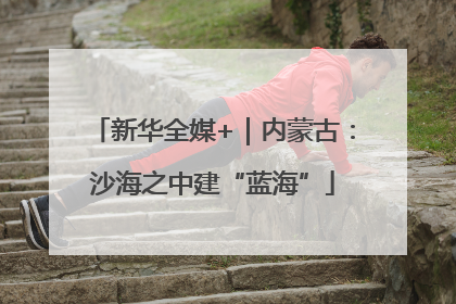 新华全媒+｜内蒙古：沙海之中建“蓝海”