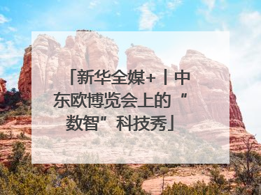 新华全媒+丨中东欧博览会上的“数智”科技秀