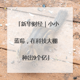 新华财经｜小小蓝莓，在科技大棚种出9个亿