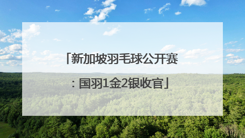 新加坡羽毛球公开赛：国羽1金2银收官