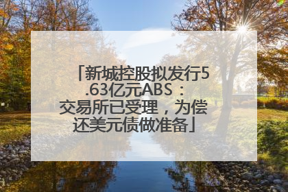 新城控股拟发行5.63亿元ABS：交易所已受理，为偿还美元债做准备