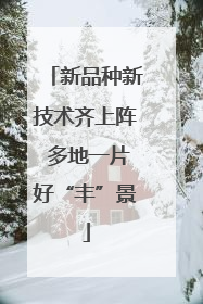 新品种新技术齐上阵 多地一片好“丰”景