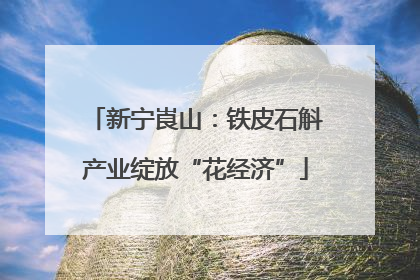 新宁崀山：铁皮石斛产业绽放“花经济”