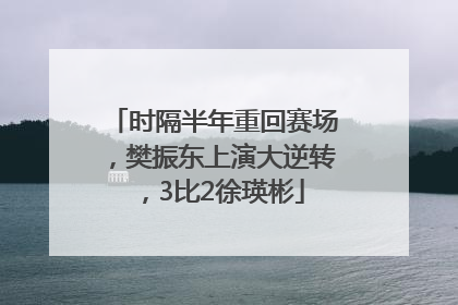 时隔半年重回赛场，樊振东上演大逆转，3比2徐瑛彬