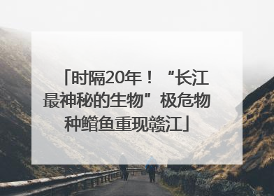 时隔20年！“长江最神秘的生物”极危物种鳤鱼重现赣江