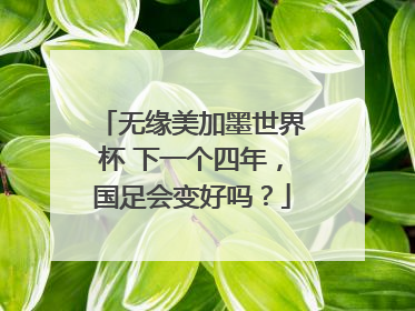 无缘美加墨世界杯 下一个四年，国足会变好吗？