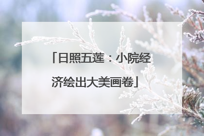 日照五莲：小院经济绘出大美画卷