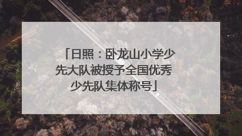 日照：卧龙山小学少先大队被授予全国优秀少先队集体称号