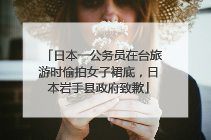 日本一公务员在台旅游时偷拍女子裙底，日本岩手县政府致歉