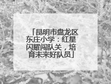 昆明市盘龙区东庄小学：红星闪耀闯队关，培育未来好队员