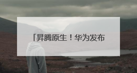 昇腾原生！华为发布准万亿模型Pangu Ultra MoE模型架构和训练细节