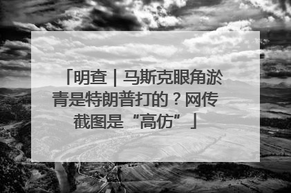 明查｜马斯克眼角淤青是特朗普打的？网传截图是“高仿”