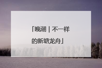 晚潮｜不一样的新塘龙舟