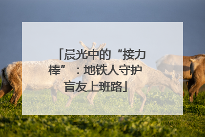 晨光中的“接力棒”：地铁人守护盲友上班路