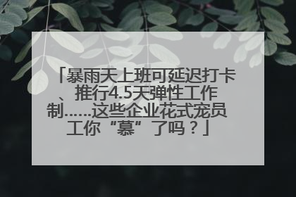 暴雨天上班可延迟打卡、推行4.5天弹性工作制……这些企业花式宠员工你“慕”了吗？