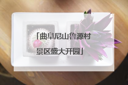 曲阜尼山鲁源村景区盛大开园