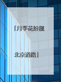月季花扮靓北京道路