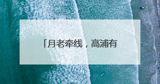 月老牵线，高浦有“囍”——首届厦门高浦城隍庙月老文化活动暨他趣百城见面会隆重举办