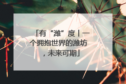 有“潍”度丨一个拥抱世界的潍坊，未来可期