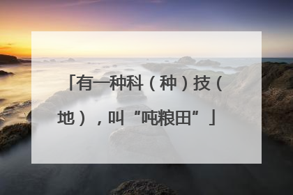 有一种科（种）技（地），叫“吨粮田”
