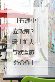 有违中立政策？瑞士扩大与欧盟防务合作