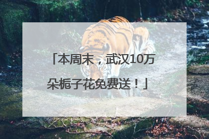 本周末，武汉10万朵栀子花免费送！