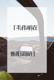 毛伟明在衡阳调研